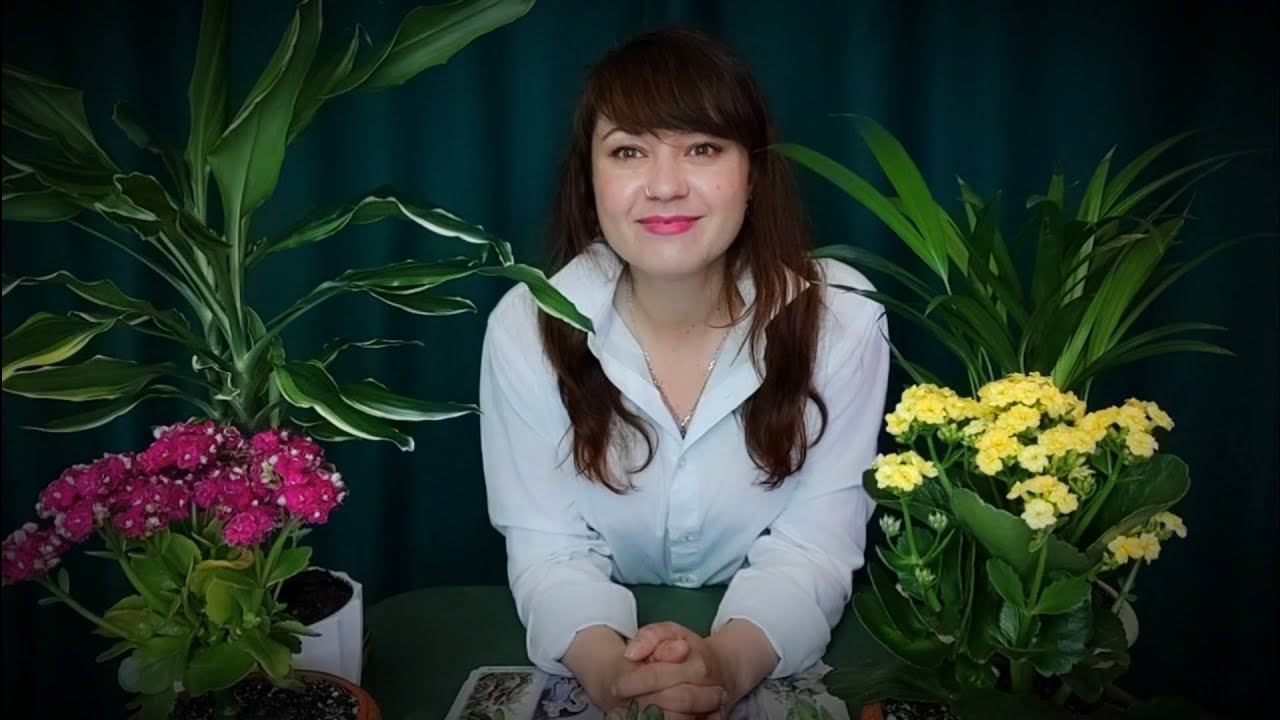 ТАРО ДЛЯ МУЖЧИН❤НОВАЯ ЛЮБОВЬ💞 РАСКЛАД НА БУДУЩЕЕ⚡СОВЕТЫ ВЫСШИХ СИЛ🌞