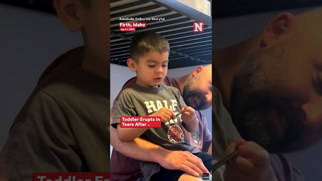 Toddler Erupts in Tears After Learning Donald Trump Is Real
