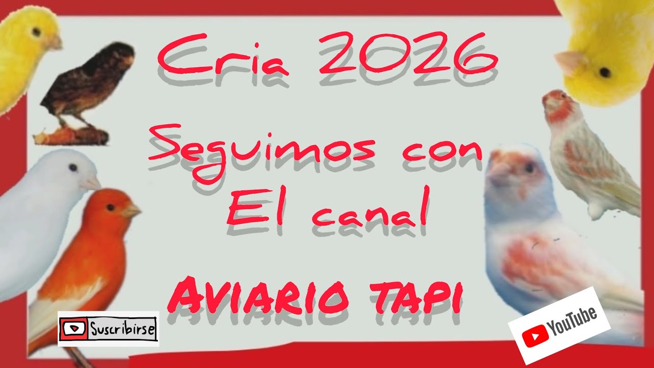 Ya estamos de vuelta con nuevas incorporaciones