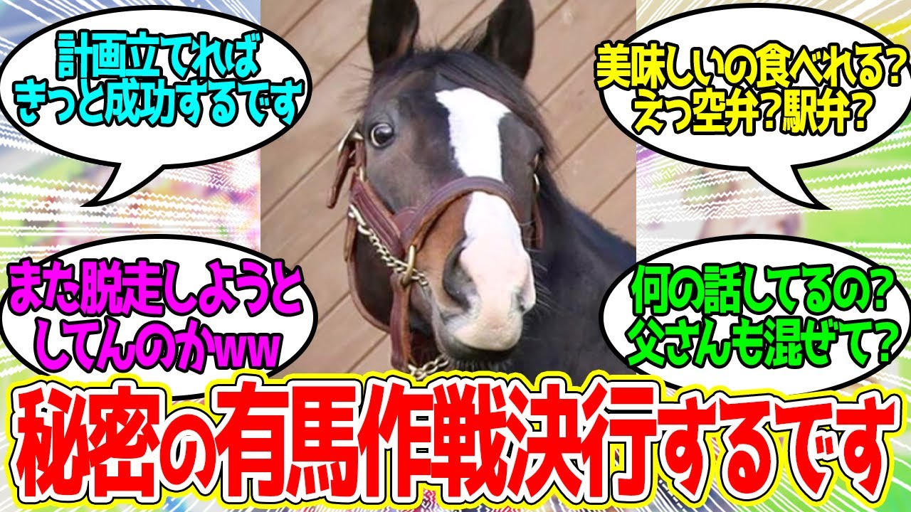 みんなには内緒です!!今から計画立てればきっと成功するですーに対するみんなの反応！【競馬 の反応集】