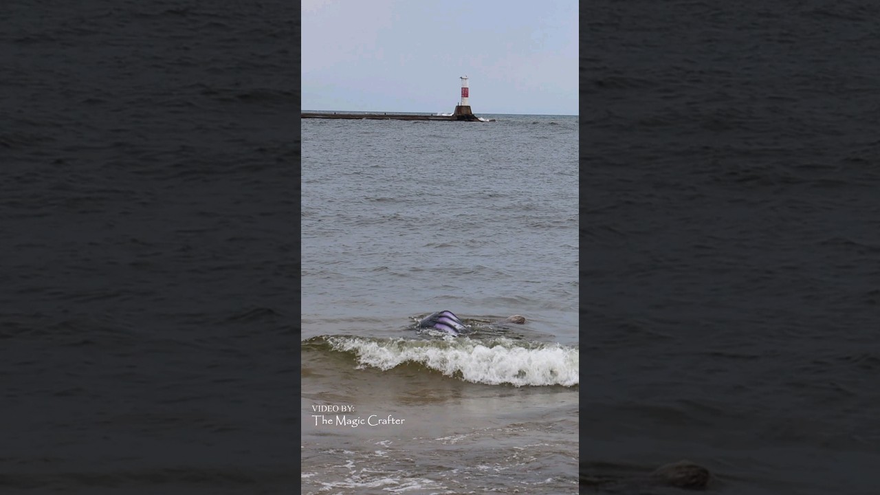 MERMAID IN THE WAVES (Manistee, MI)