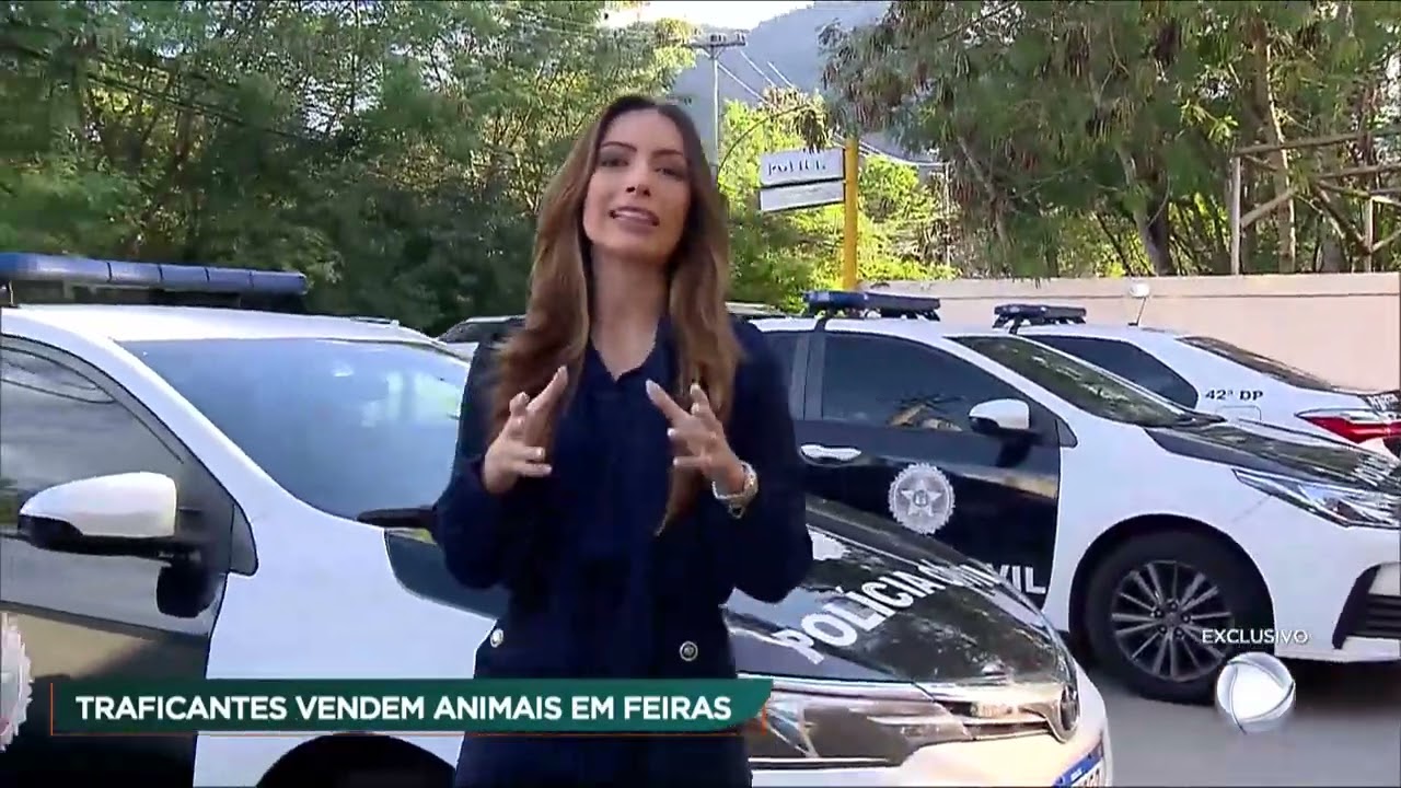 Exclusivo: feiras clandestinas vendem animais silvestres no Rio de Janeiro