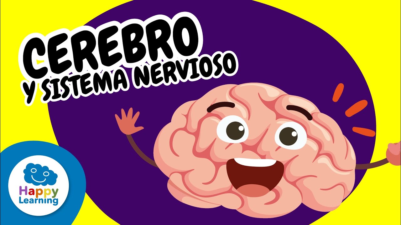 🧠✨ El cerebro y el sistema nervioso | Vídeos Educativos para Niños de PRIMARIA | @Happy Learning Español