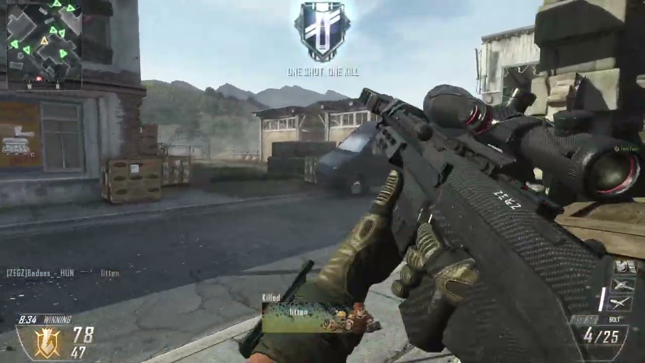 Call of Duty Black Ops II Plutonium Client Team Deathmatch on Standoff