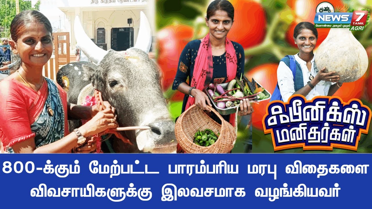 ஆரோக்கியத்தை இழந்துவிட்டு கோடி கோடியாக சம்பாரித்து என்ன பயன்? | ஃபீனிக்ஸ் மனிதர்களில் விதை பிரியா