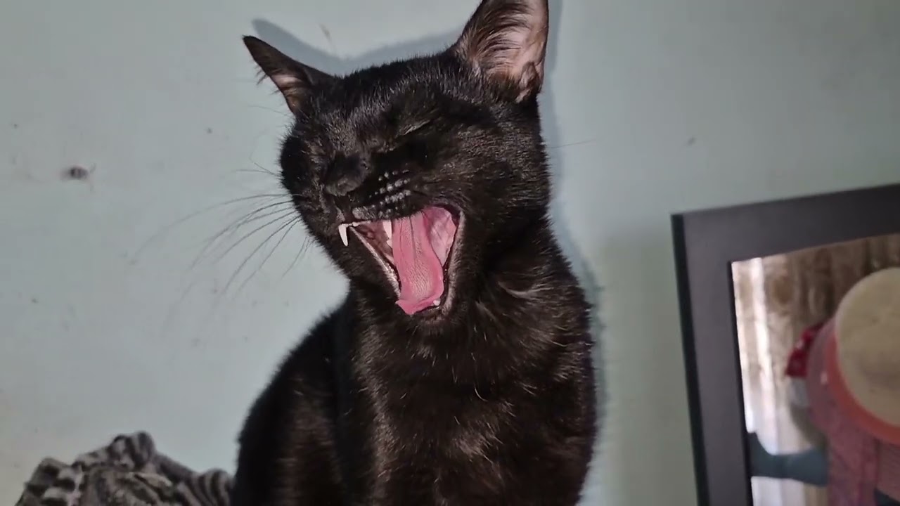 Ммммммм яяяяяаууу