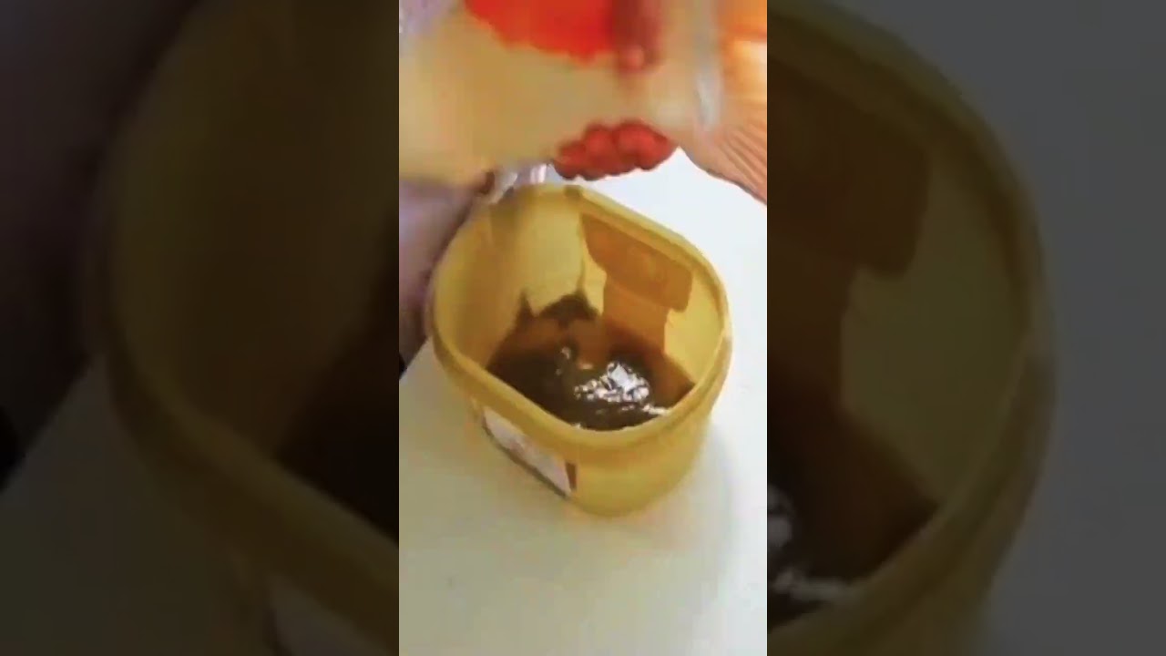 How do they breed koi fish 