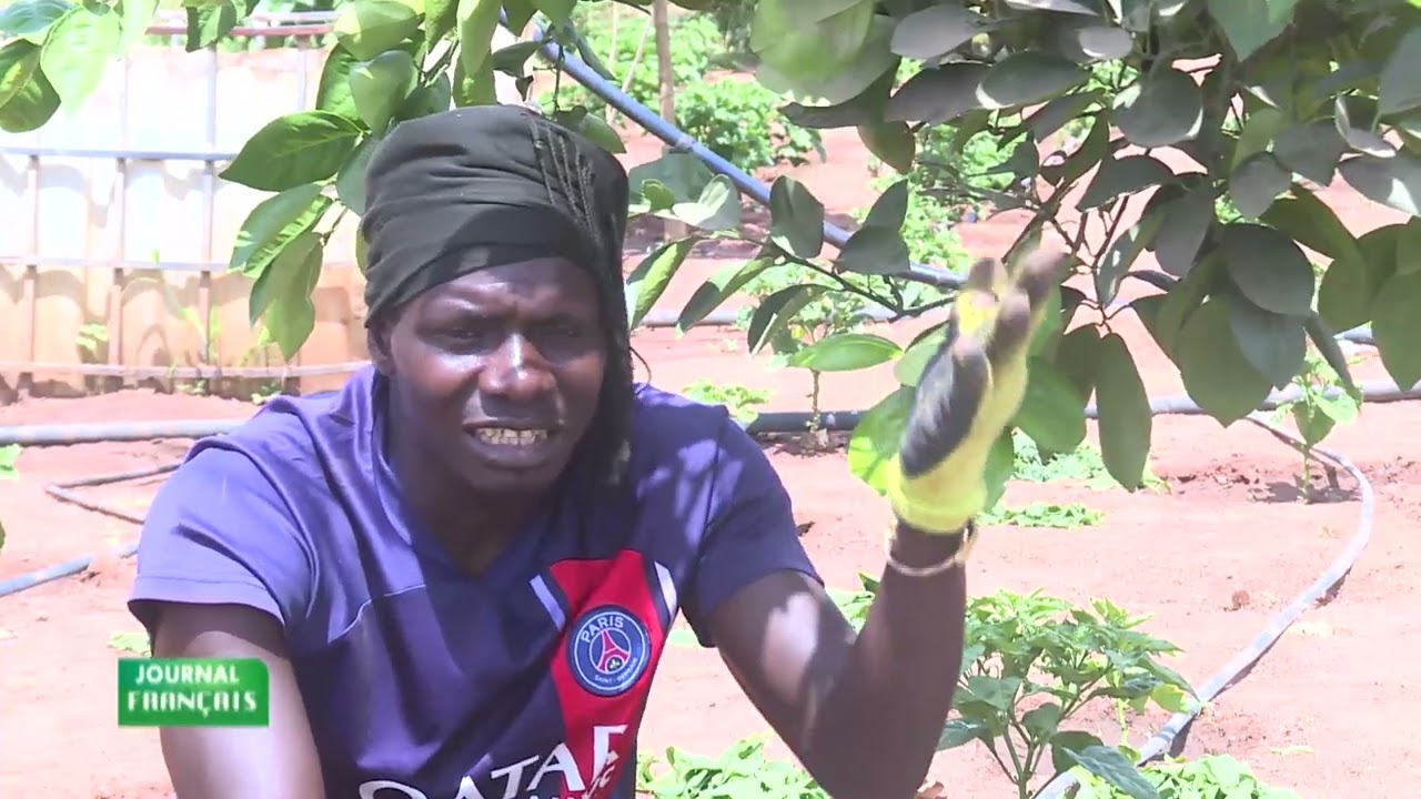 ZIGUINCHOR: À LA DÉCOUVERTE DE LA FERME INTÉGRÉ DE NIAGUIS.