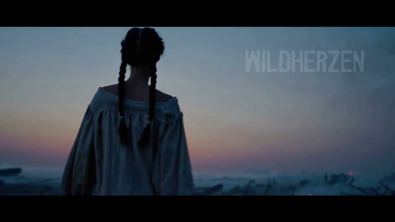 T3chn0Fr3aK - Wildherzen (Explicit)