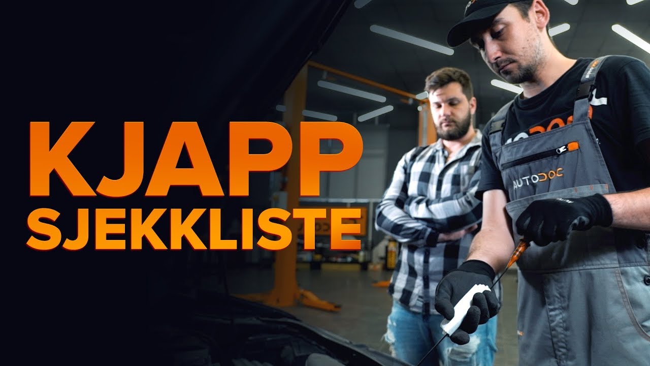 Slik gj&oslash;r du bilen klar til langkj&oslash;ring | AUTODOC-tips | Del 1