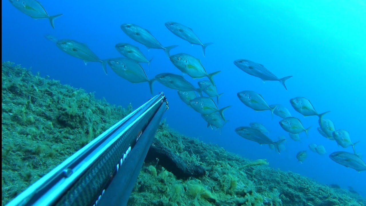 😵 Το Έζησα Και Αυτό 📽 Αυτά Μόνο Στην Κρήτη 🔱 Spearfishing Amberjacks