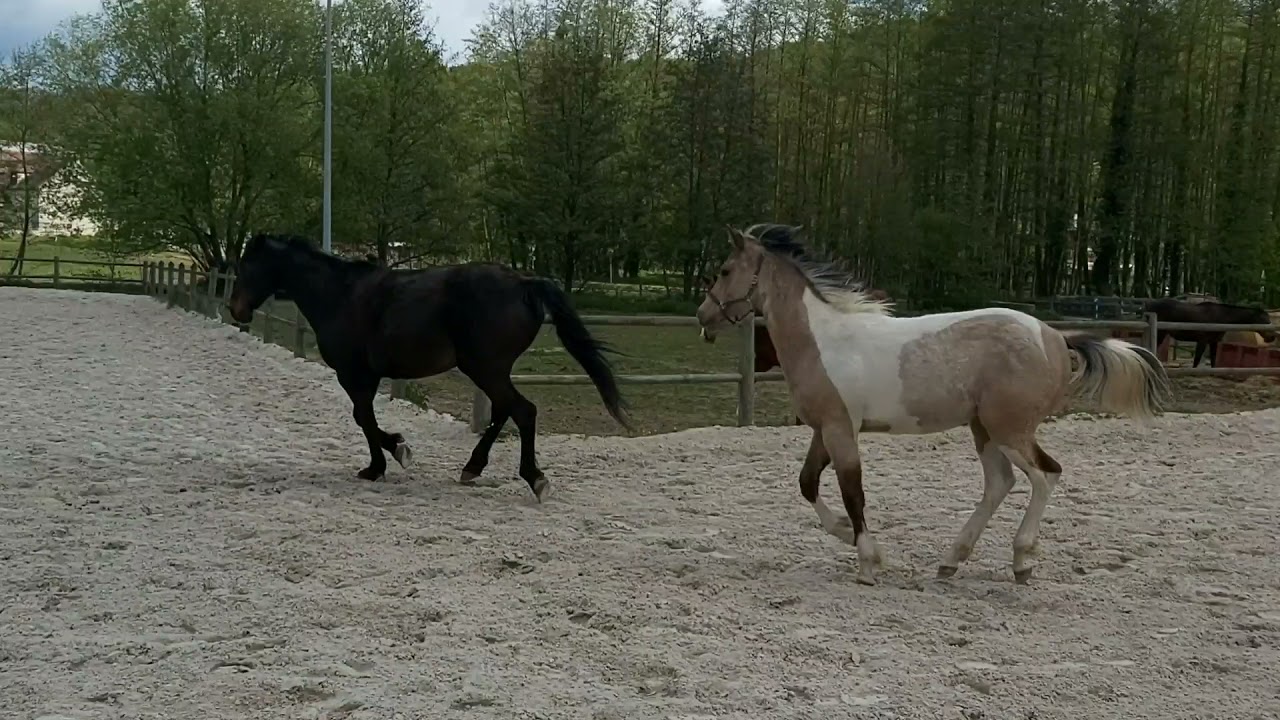 kinaï sur un air de warduna ❤