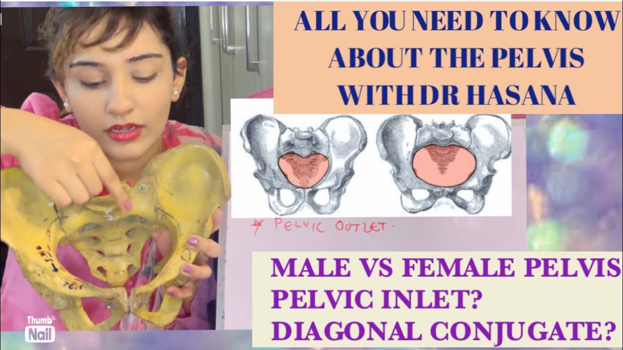 All you need to know about PELVIS BONE ANATOMY in 3D | Pelvimetry Diameters Landmarks EXPLAINED