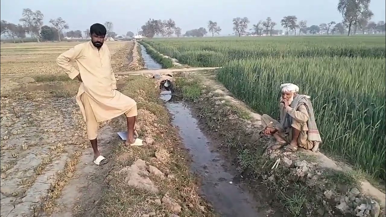 اس ویڈیو میں ہم کھیتی باڑی سے متعلق اہم معلومات آپ کے ساتھ شیئر کر رہے ہیں۔اس ویڈیو میں آپ سیکھیں گے