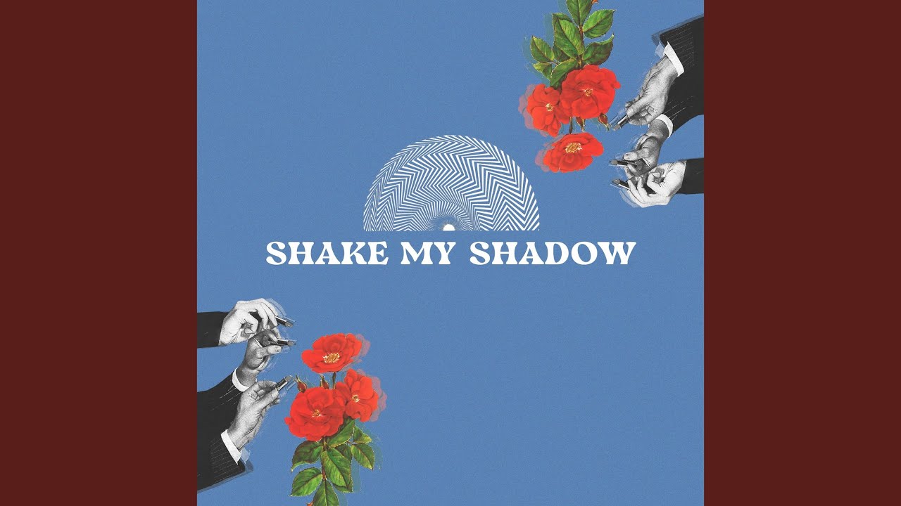 Shake My Shadow