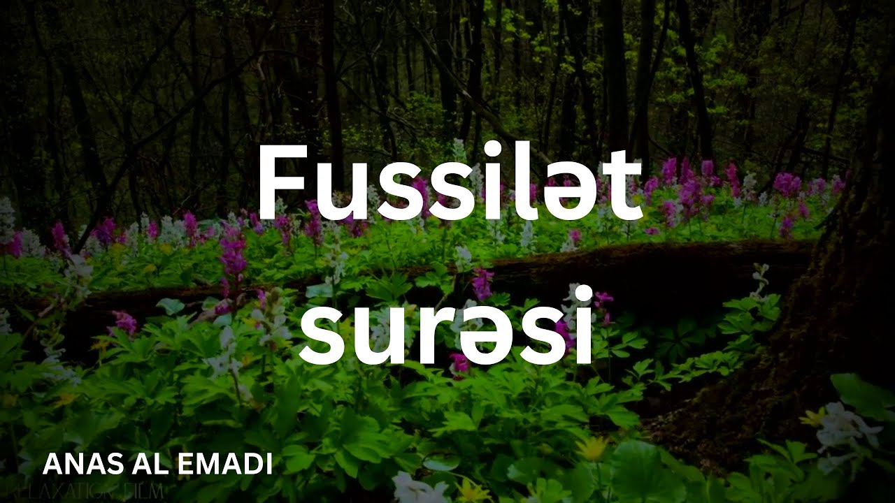 Fussilət surəsi  - ANAS AL EMADI / سورة فصلت