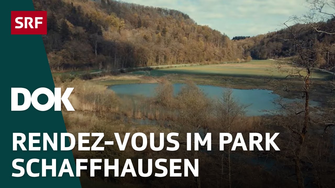 Rendez-Vous im Park: Naturpark Schaffhausen | DOK | SRF Wissen