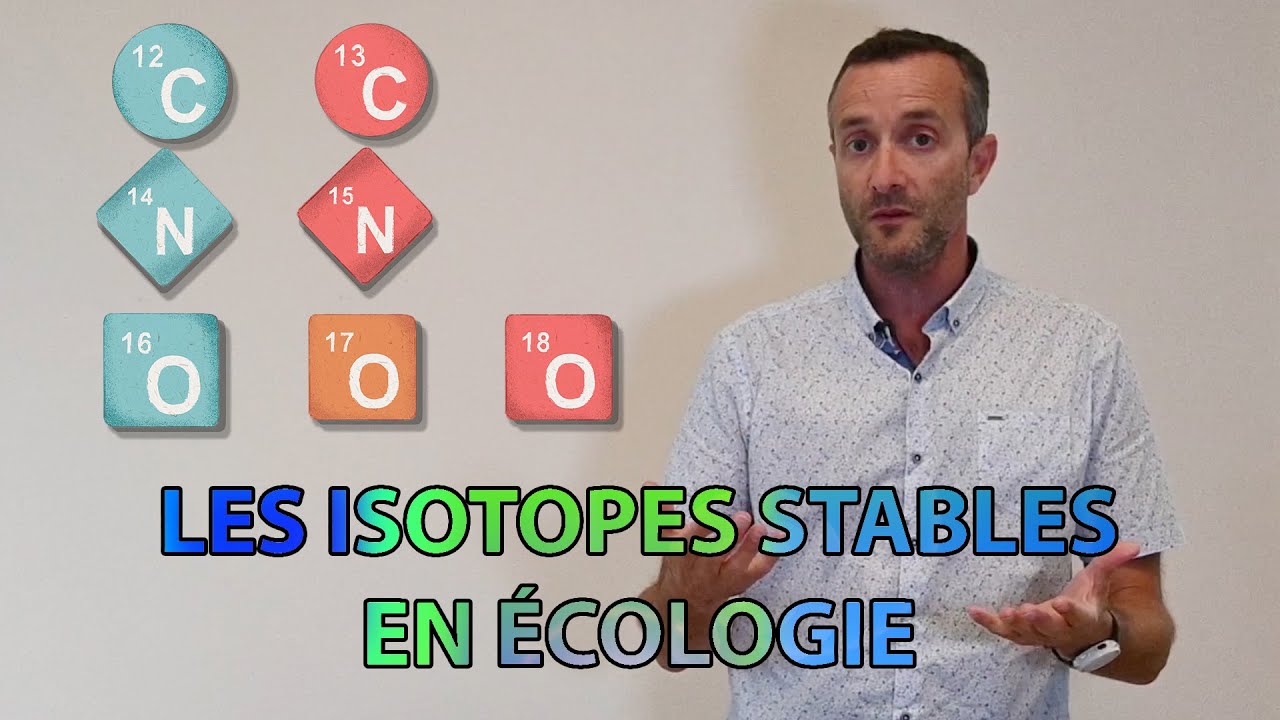 Les isotopes stables en &eacute;cologie