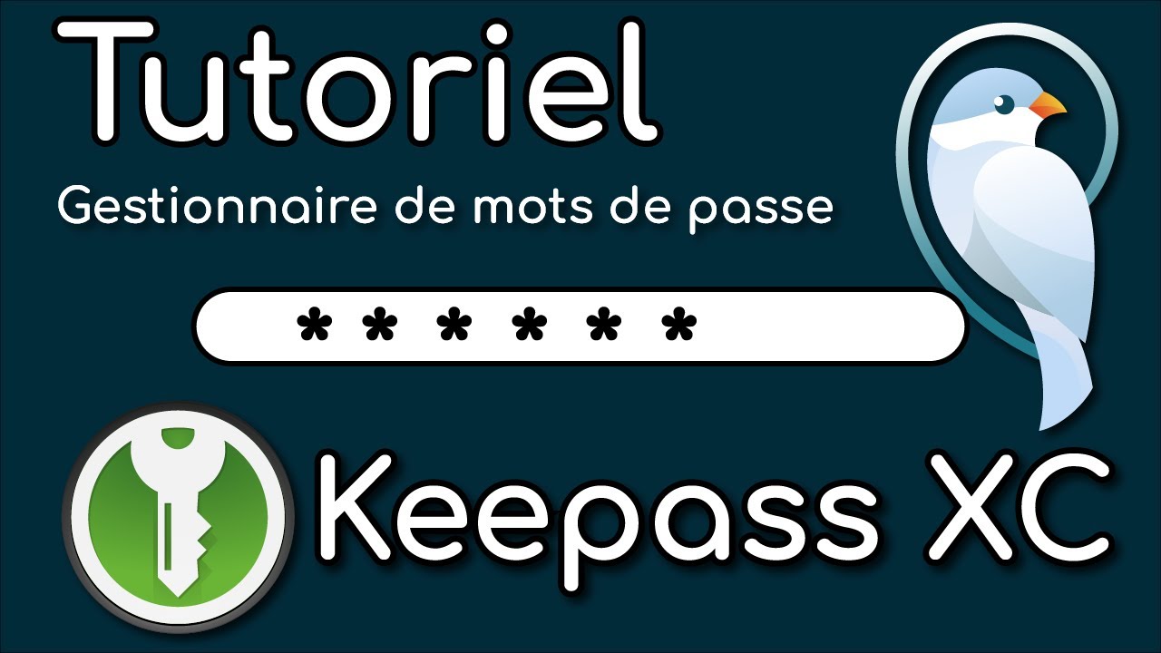 Apprendre à utiliser KeePassXC | Tutoriel complet pour débutants
