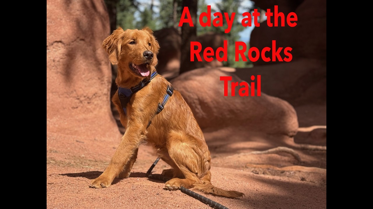A day at the Red Rocks Trail