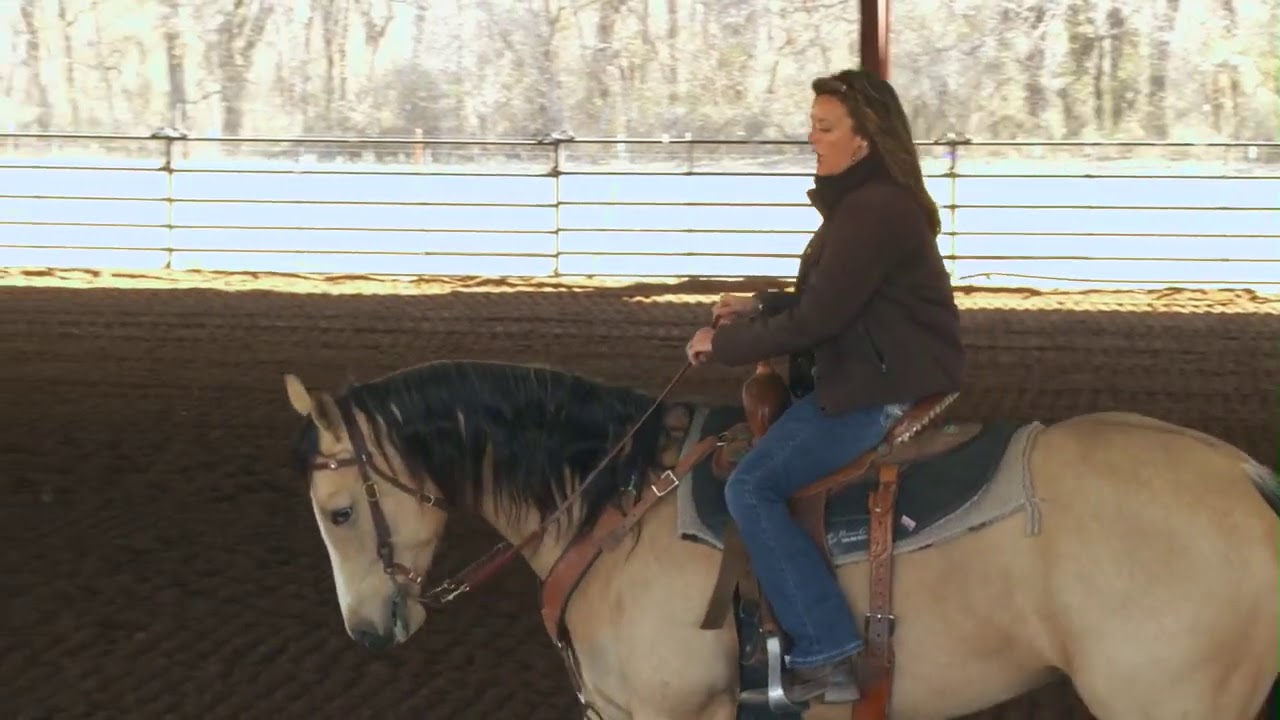 Heather Heath A Broke Horse