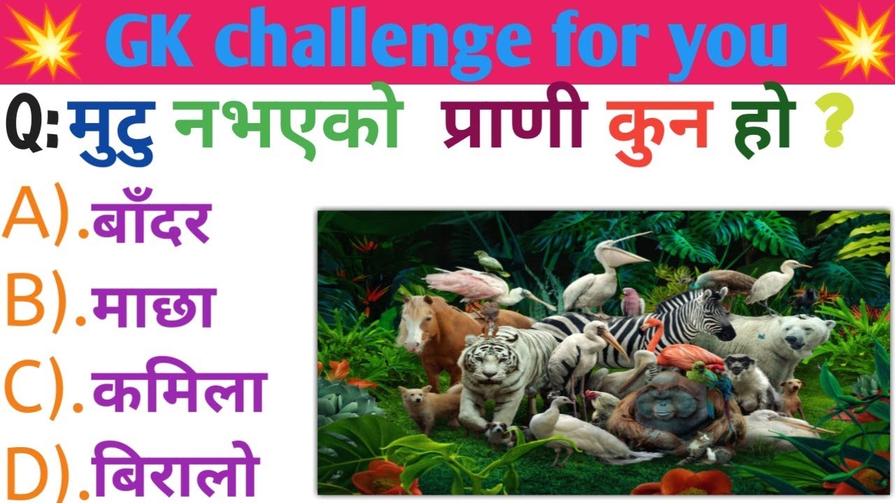 What animal has no heart 🤔(मुटु नभएको प्राणी कुन हो ) GK questions and answers in Nepali 🇳🇵#gk #fyp 
