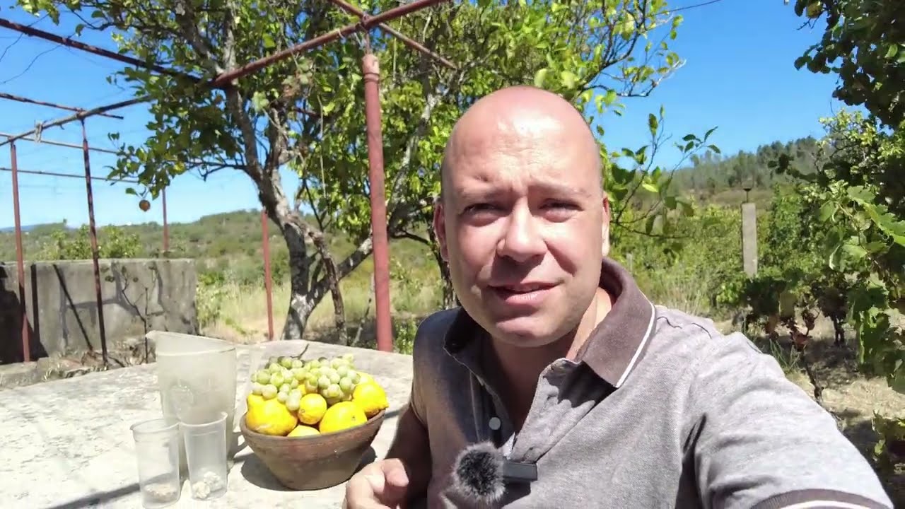 VENDIDO | Oportunidade Única | Quinta das Flores para Venda | Portugal
