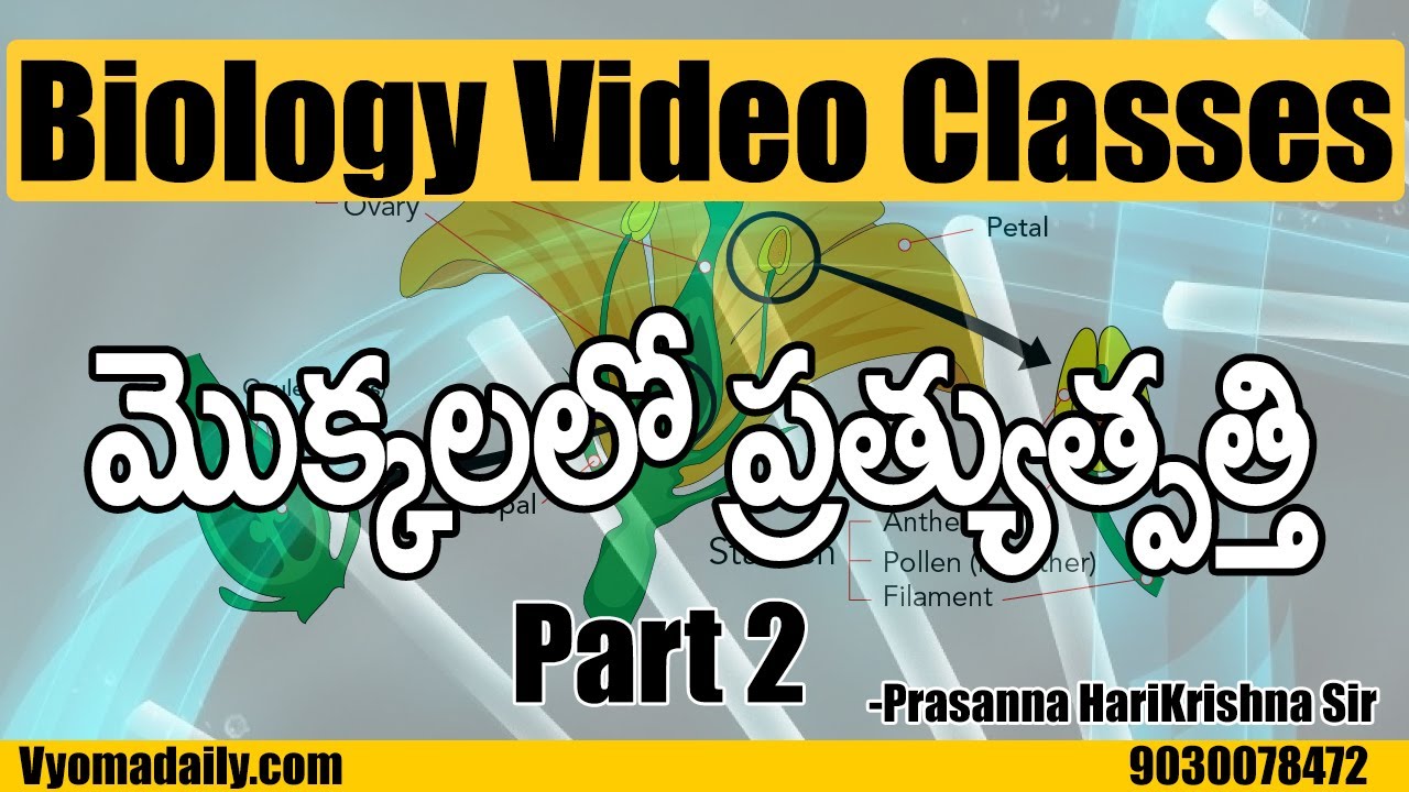 మొక్కలలో ప్రత్యుత్పత్తి -2 | Plants Reproductive System | Biology Classes | Prasanna HariKrishna Sir