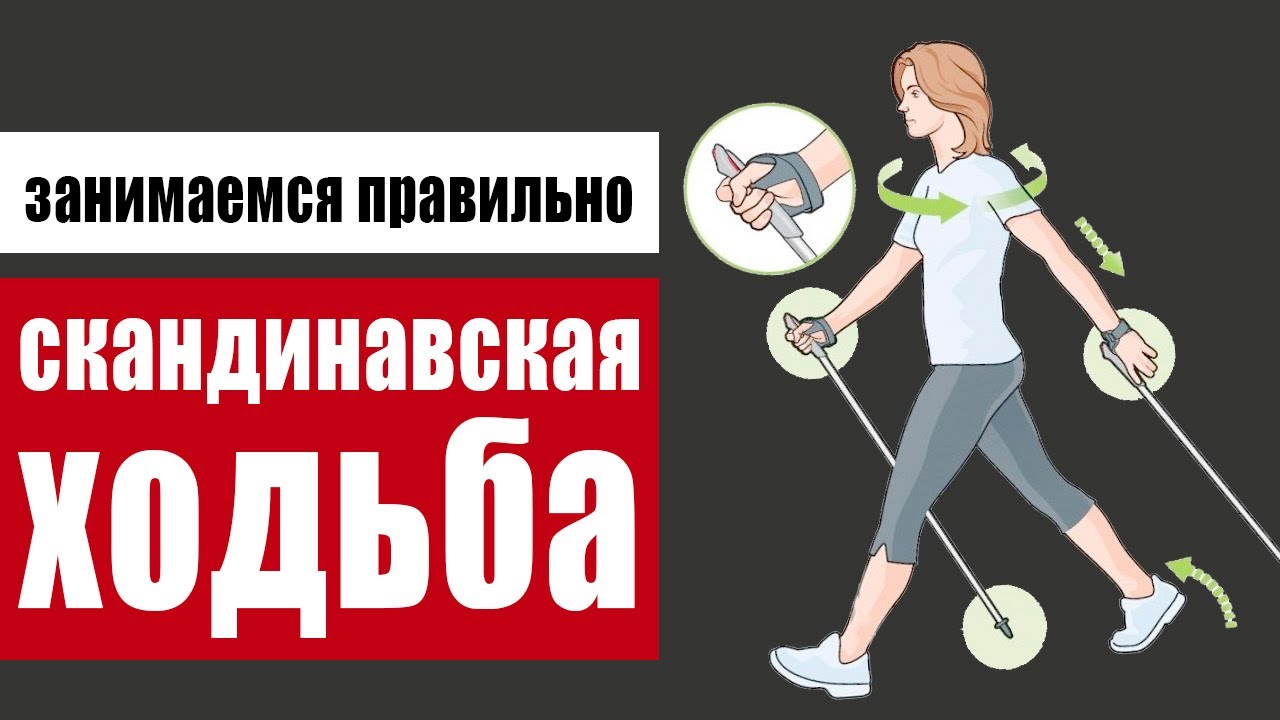 Что дает скандинавская ходьба и как правильно ходить