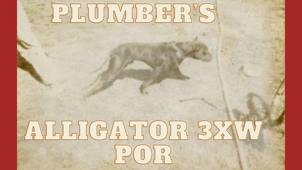 Plumber’s Alligator 3XW POR