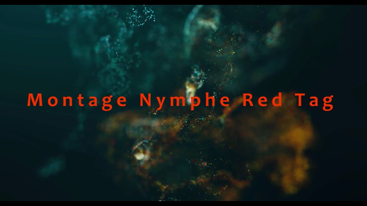 Montage Nymphe Red Tag