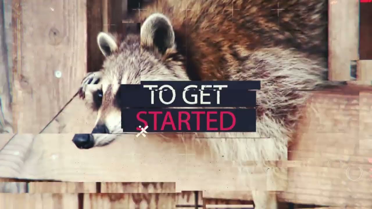 Madison Wildlife Removal | Humane Wildlife Control & Removal in Madison, WI