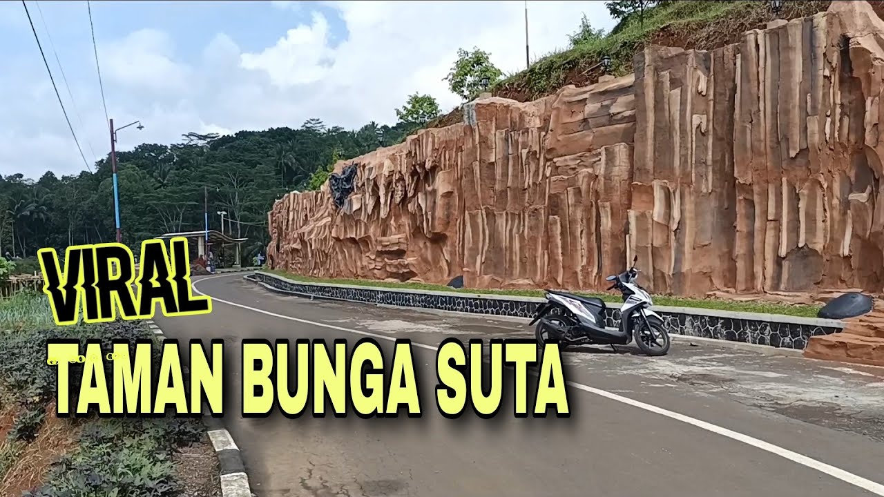 VIRAL‼️ Taman Bunga Suta Ciamis