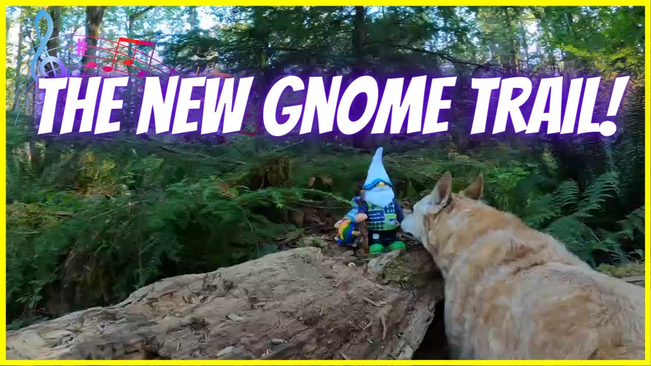 🎶Gnome Hunting on the NEW Gnome Trail / Relaxing Music & Nature Dog Walk #gnome