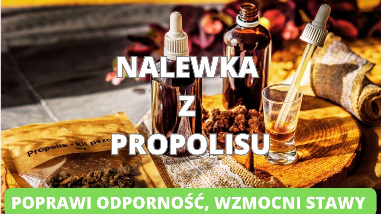 Nalewka z propolisu. Poprawi twoją odporność, wzmocni stawy. Sam łatwo możesz ją przygotować.