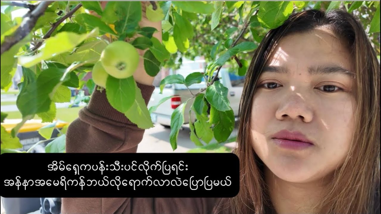Anna ကိုအမေရိကန်ဘယ်လိုရောက်လာလဲမေးထားတာလေးပြောပြလိုက်ပါပြီး။