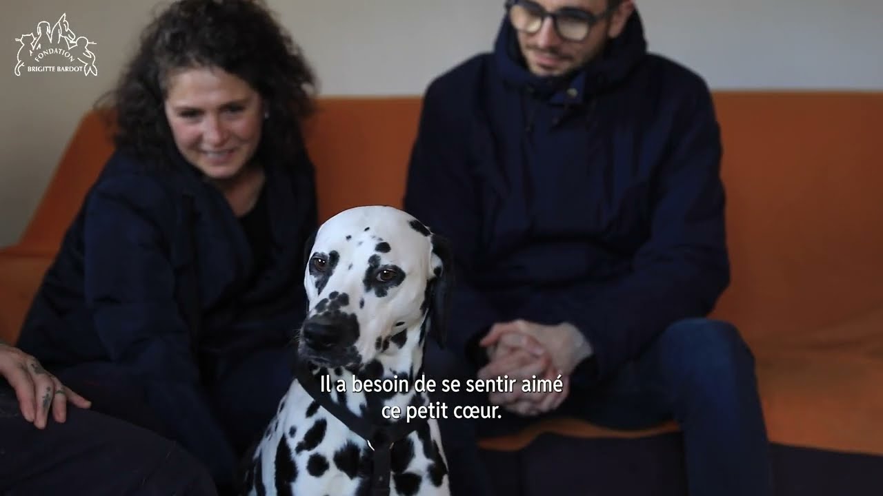 Nouvelle chance : L'adoption touchante de Pongo à la Fondation Brigitte Bardot