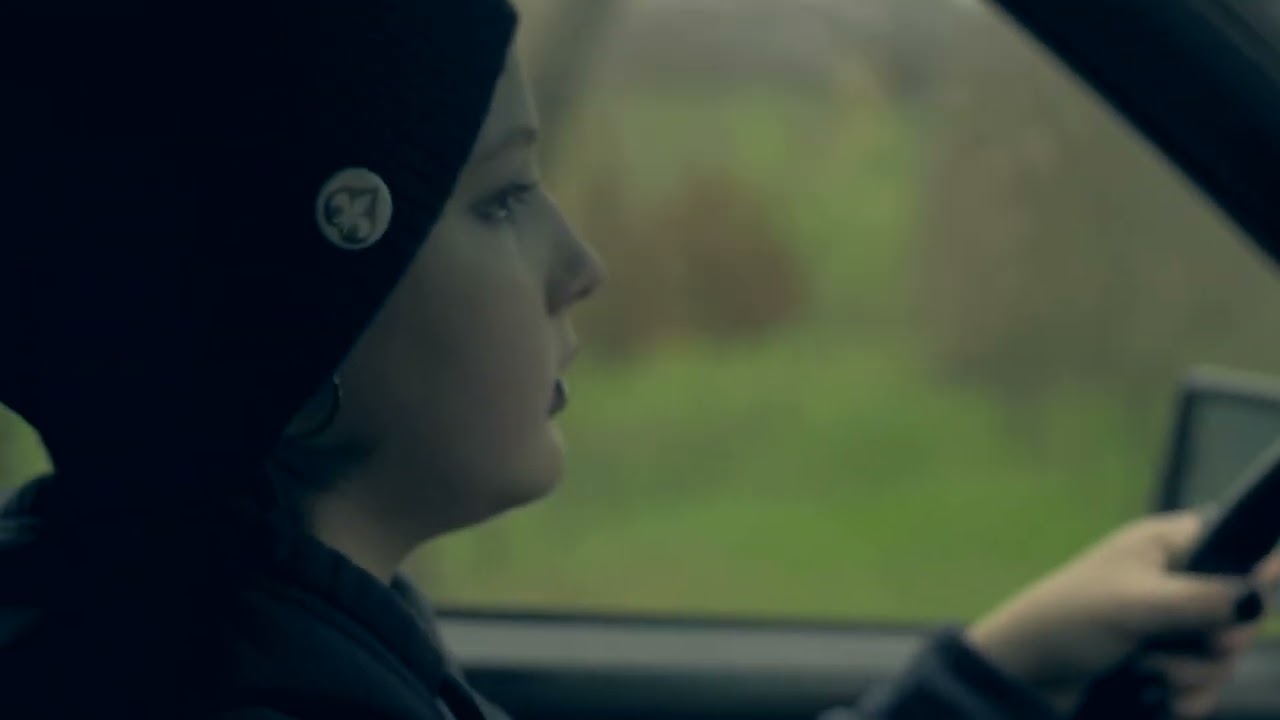 Plum Dumplings - Ryb&iacute; &scaron;p&iacute;na (official video)