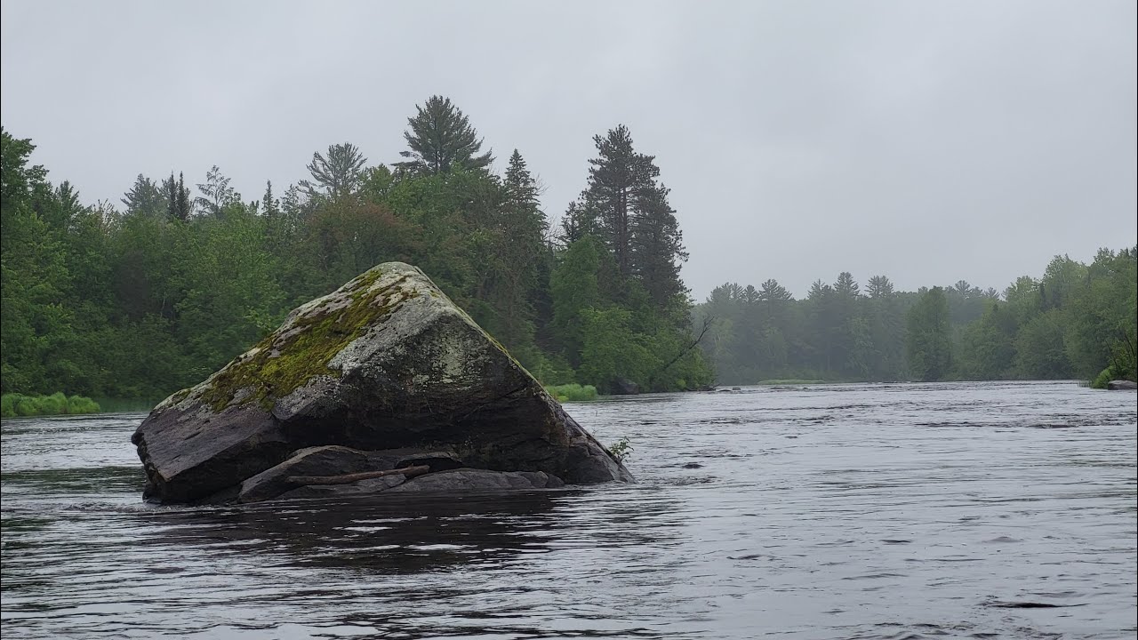 Up North 2025