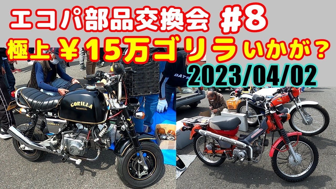 【部品交換会】【4mini】エコパ部品交換会#8、極上のゴリラ￥15万を発見、モンキー車両も多く出品。静岡県袋井市エコパで開催　2023/04/02