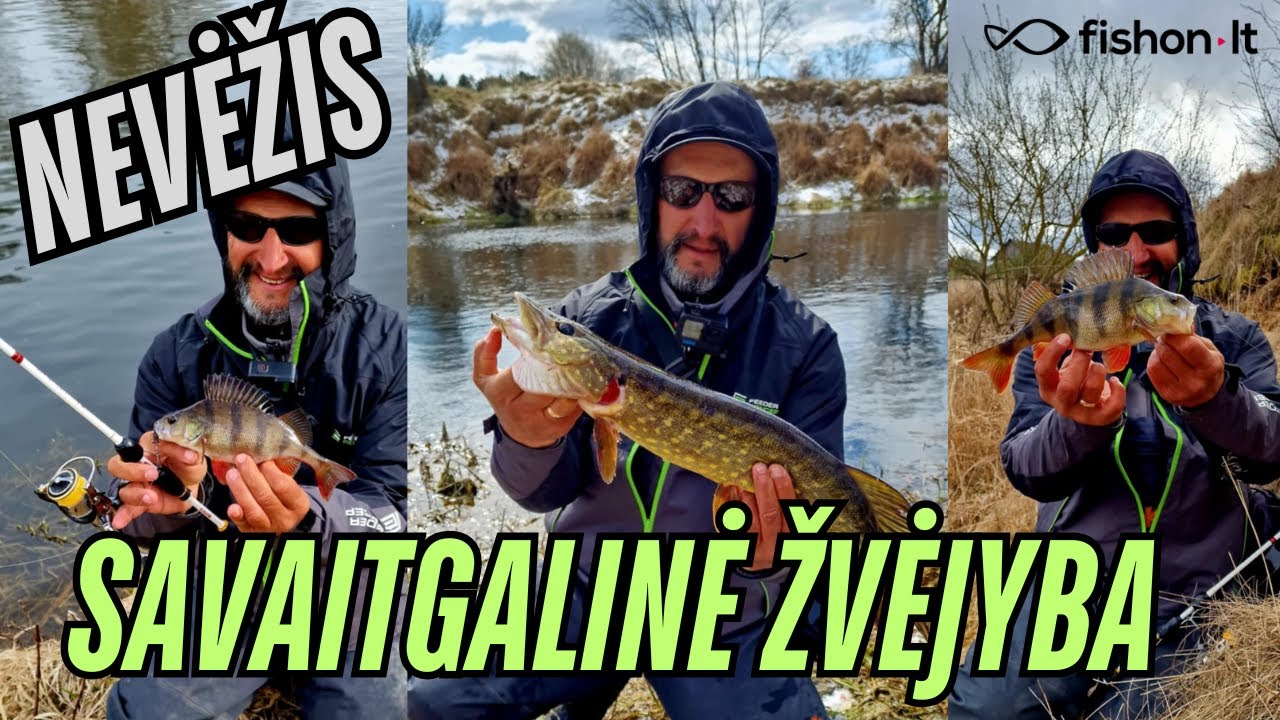 Nevėžis | Savaitgalinė žvėjyba