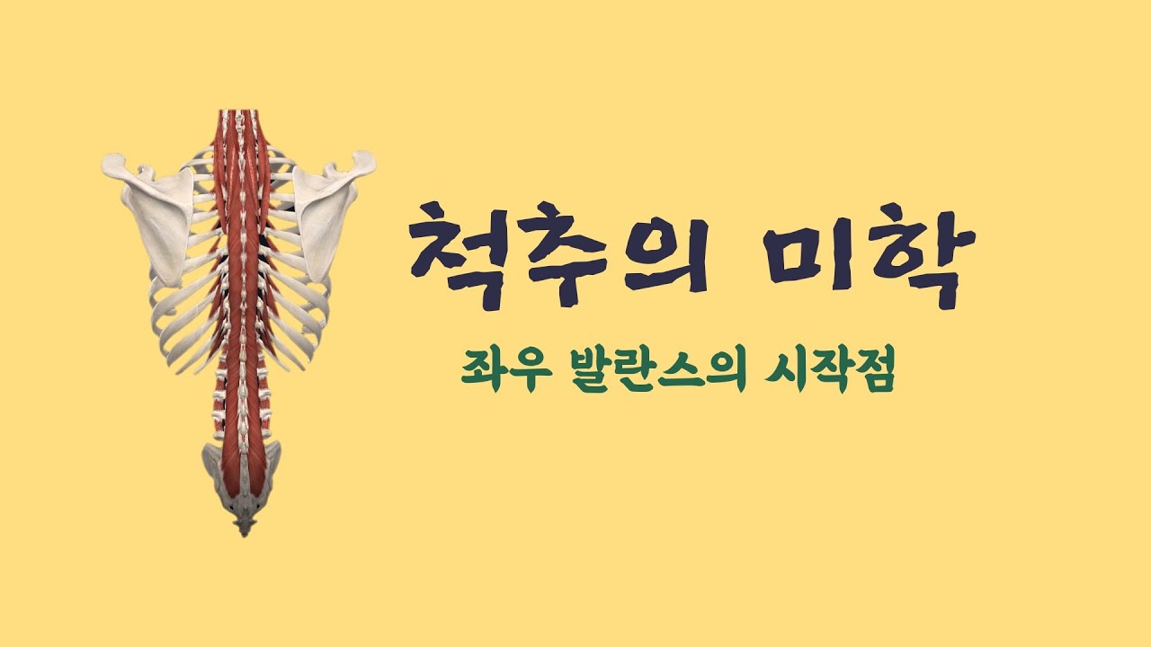 [ 마름모코어 시즌 2-29 ]  척추에서 좌우를 당기는 힘이 없거나 다르면 생기는 일 / 척추가 틀어지면 온 몸이 틀어지는 중 / 척추교정