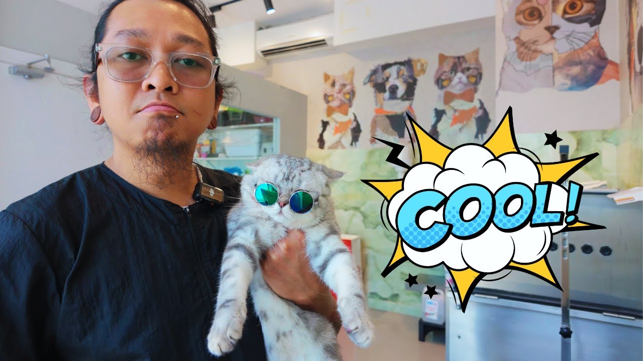 This Cat Marble is Cooler Than Me 😎
