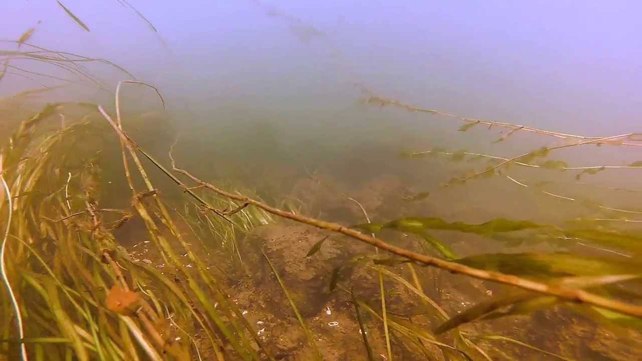 Under Water Secrets - Lachine Rapids - River Rats GoPro