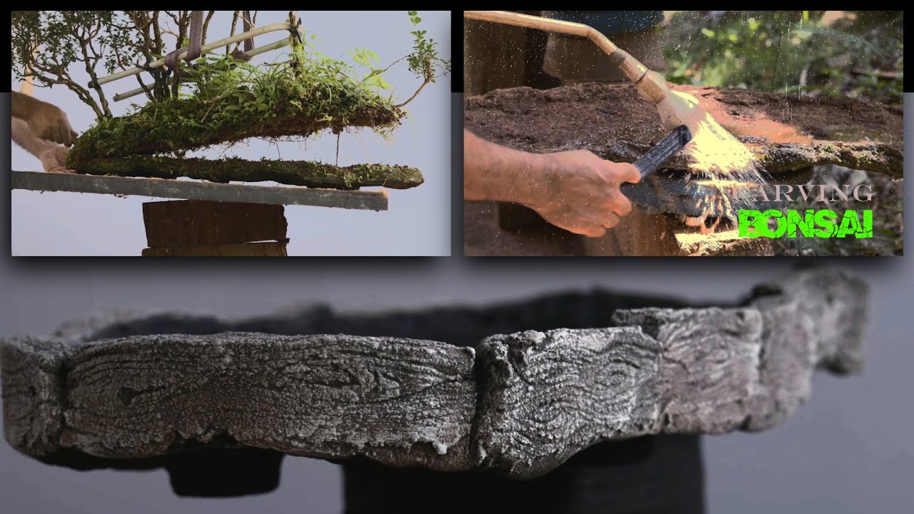 Como mudar o visual de um Vaso de Bonsai TF (Yose-ue) vídeo 6 - parte 1