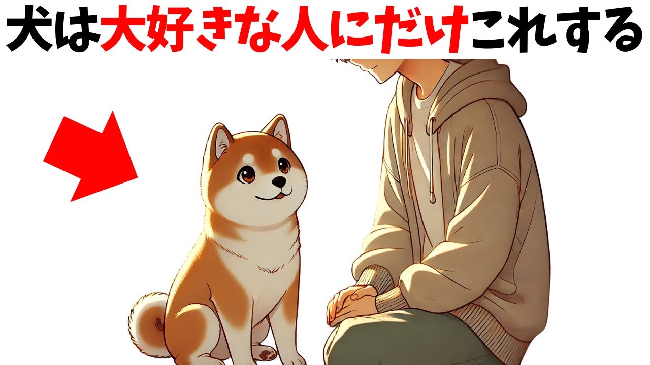 【犬が大好きな飼い主にだけ見せる行動】犬の雑学 #犬 #いぬ 