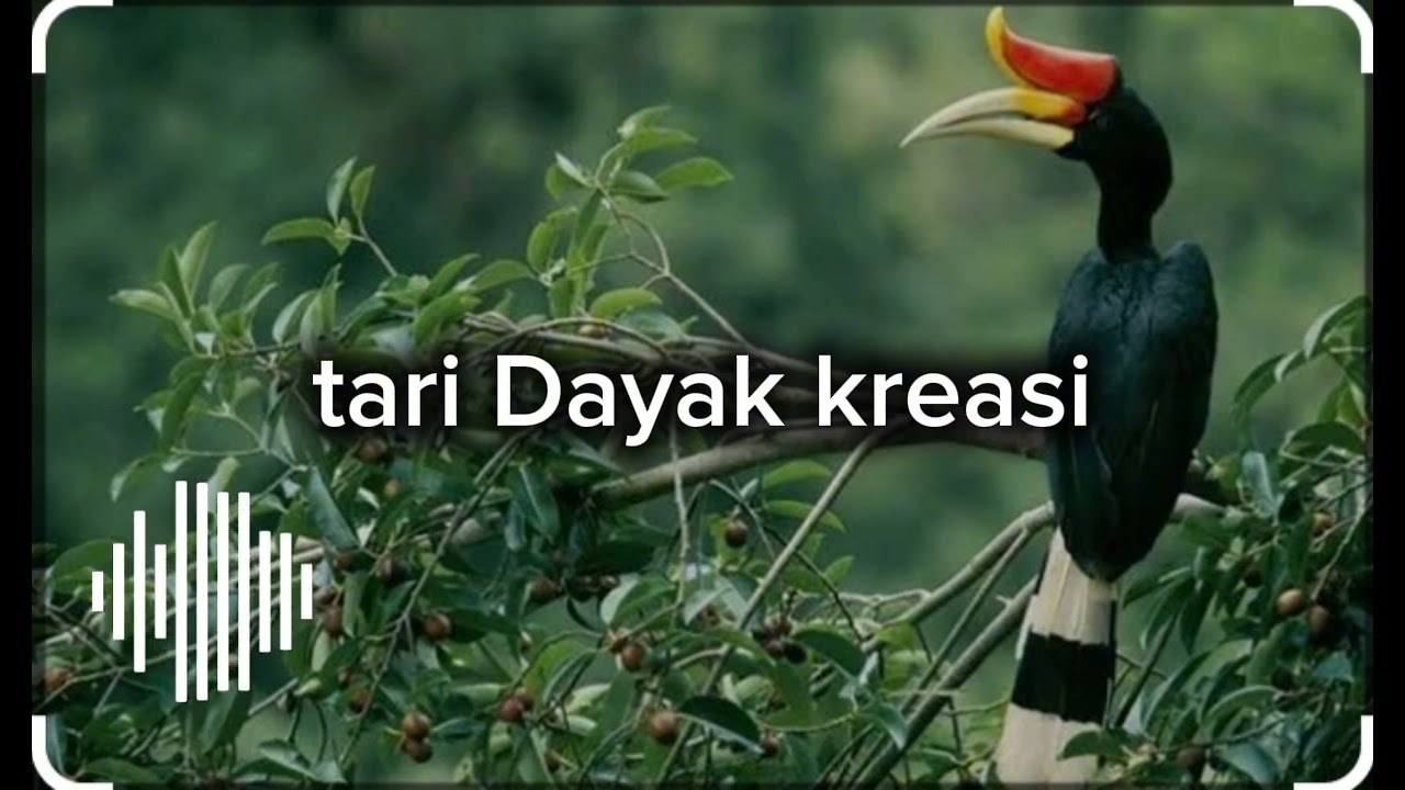 tari Dayak kreasi