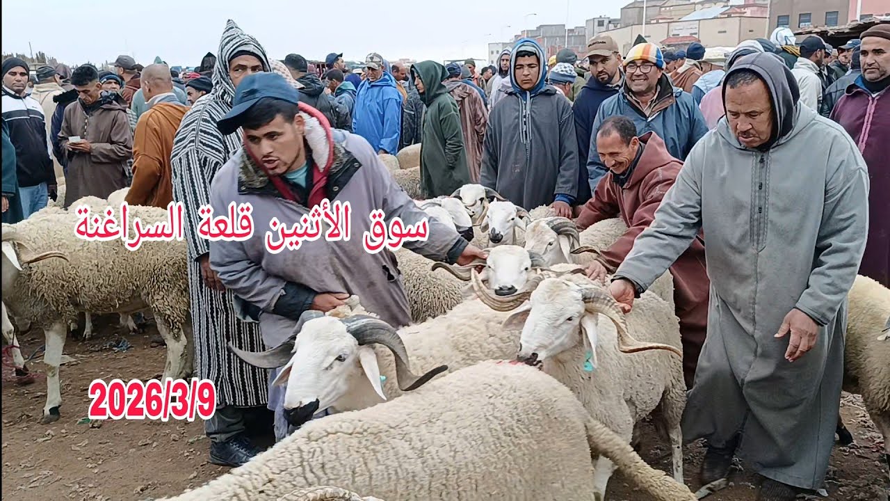 أجي تشوف سوق الأثنين قلعة السراغنة بتاريخ 2026/3/9 مع أتمنة حولي ديال العيد وخروفة 🐏🐑🇲🇦