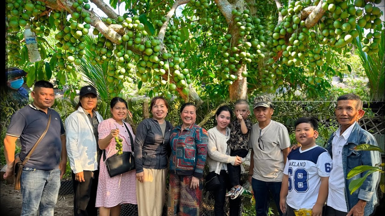 Tham Quan Vườn Dâu “Bến Nhứt” Sum Suê Trái Và Thưởng Thức Nhiều Món Ăn Miệt Vườn | MTQH