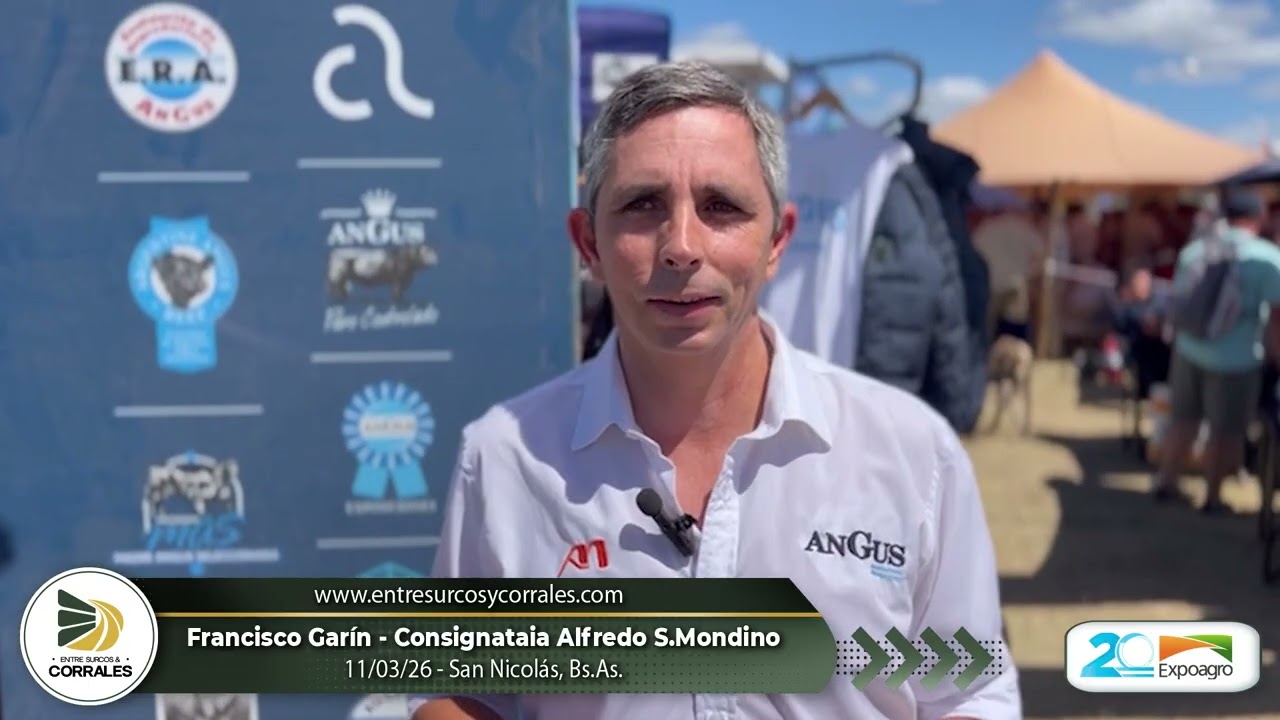 11-03-26 - Francisco Garín - Consignataria Alfredo S. Mondino - EXPOAGRO, San Nicolás, Bs.As.